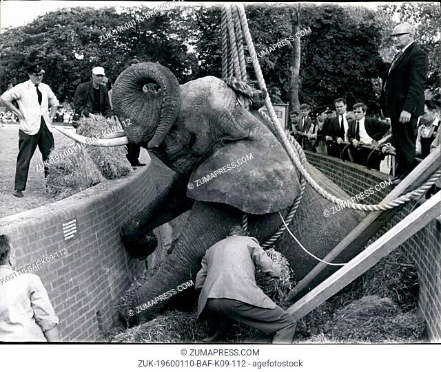 1964 - Elephant Dies at London Zoo - The African Elephant, called Diesie, Died yesterday at the London Zoo. She had been catching food thrown by Spectators when...