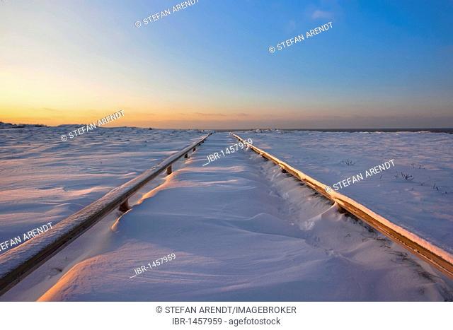 Path to a beach in winter covered with snow, Sylt Island, Schleswig-Holstein, Germany, Europe