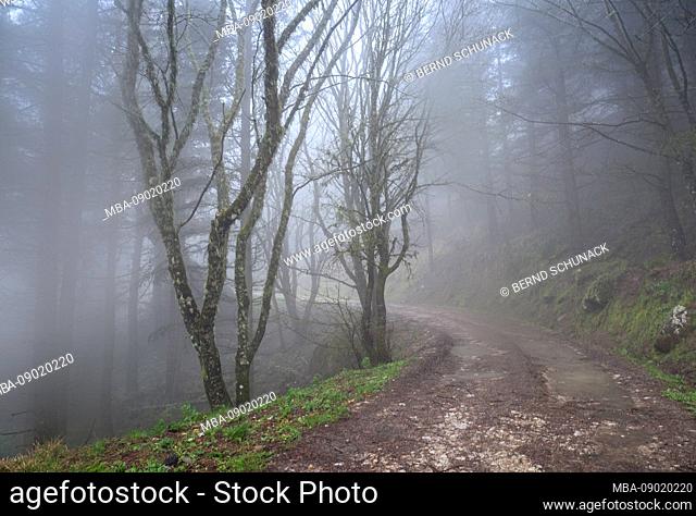 Hiking in the fog in the mountainous hinterland of Sicily