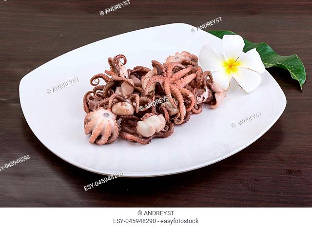 Boiled octopus in the bowl on wooden background
