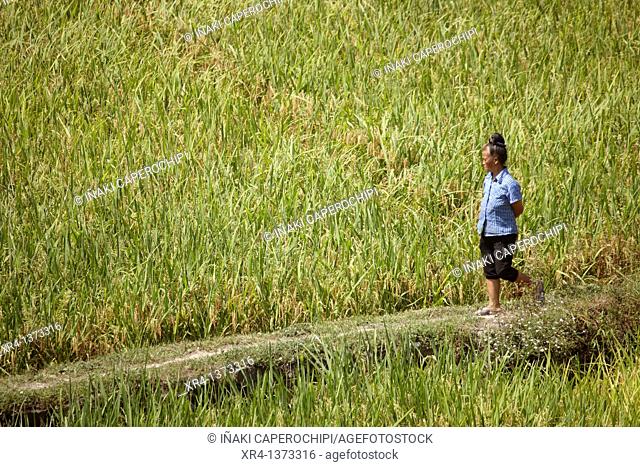 Woman walking, Bala River Valley, Langde, Guizhou, China