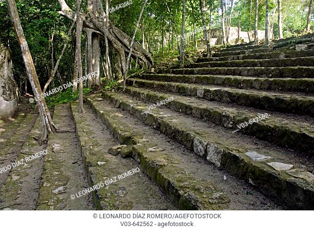 Mayan ruins. Calakmul. Campeche, Mexico