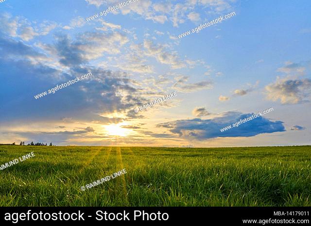 Meadow, sky, clouds, sunset, spring, Miltenberg, Spessart, Bavaria, Germany