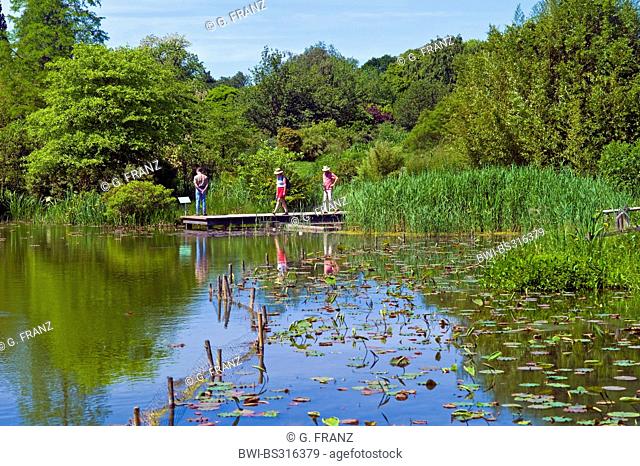 visitors on footbridge at a pond in Arboretum Ellerhoop, Germany, Schleswig-Holstein, Ellerhoop