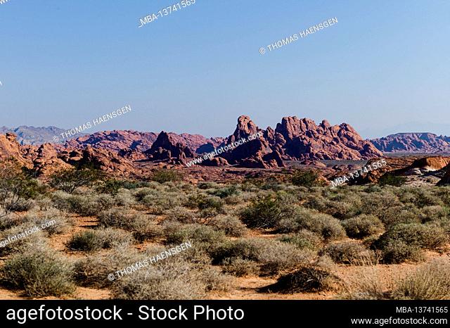 Red Rocks in a distance in Valley of Fire State Park, Nevada, USA