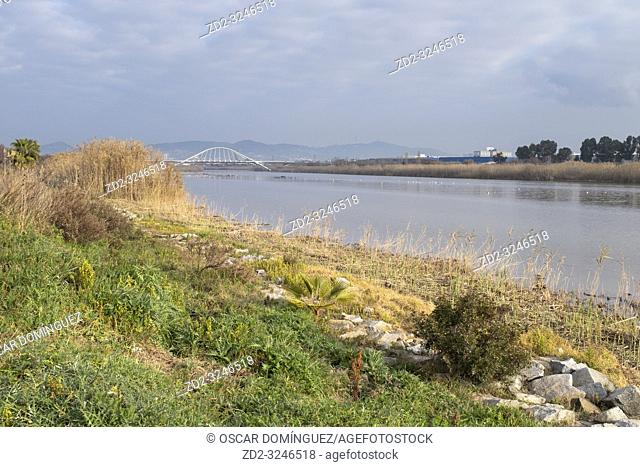 View over the River Llobregat with industrial area in background. Natural Areas of the Llobregat Delta. Barcelona province. Catalonia. Spain