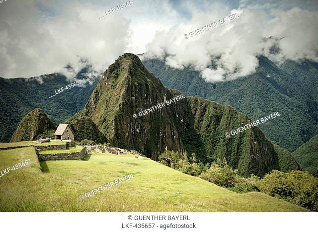 View towards Wayna Picchu, Machu Picchu, Cusco, Cuzco, Peru, Andes, South America