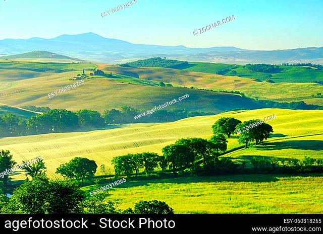 Toskana Huegel - Tuscany hills 40