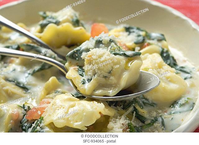 Tortellini with spinach and cream sauce and Parmesan