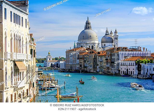 Grand Canal and Basilica de Santa Maria della Salute. Venice. Veneto. Italy
