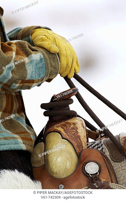 Close up of a cowgirl holding the reins of her horse, Shell, Wyoming
