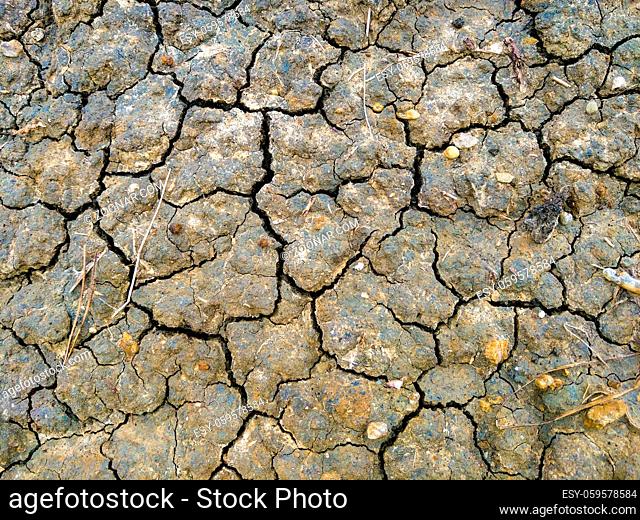 View of the cracked earth, out of focus, background