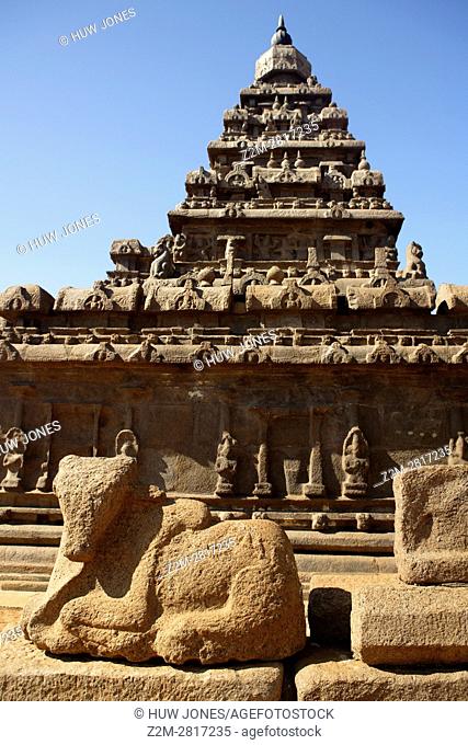 The Shore Temple, Mahabalipuram, UNESCO World Heritage Site, Near Chennai, Tamil Nadu state, India, Asia