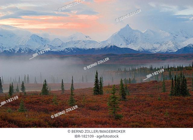 Atmospheric light, sunrise and morning fog, with Alaska Range in background, Wonderlake Area, Denali Nationalpark, Alaska, USA
