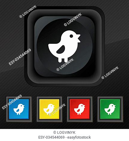 chicken, Bird icon symbol. Set of five colorful, stylish buttons on black texture for your design. illustration