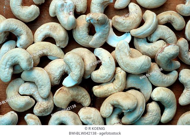 cashew nut Anacardium occidentale, nuts