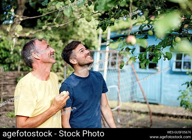 Curious son looking at tree while standing with father holding Granny smith apple in backyard