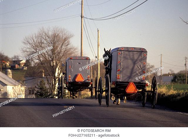 amish, horse and buggy, Amish Country, Pennsylvania Dutch Country, Pennsylvania, Two Amish horse and covered buggies trot up a country road in Lancaster County...