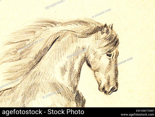 Draw pencil horse on old paper, original hand draw