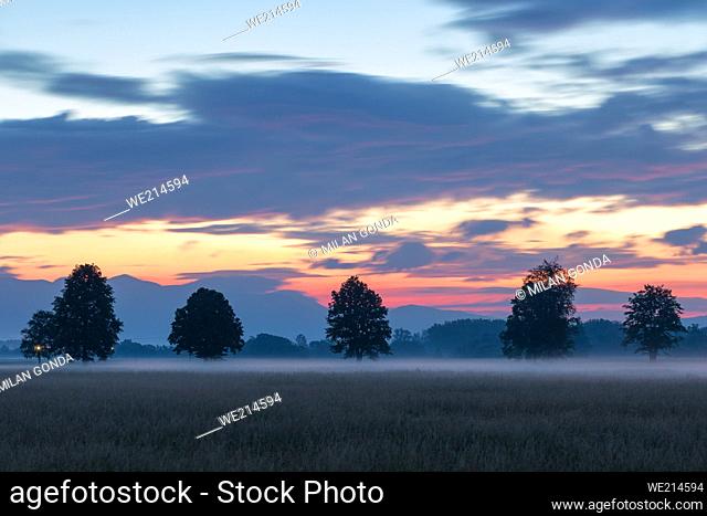 Ground fog at Blazovce village in Turiec region, Slovakia