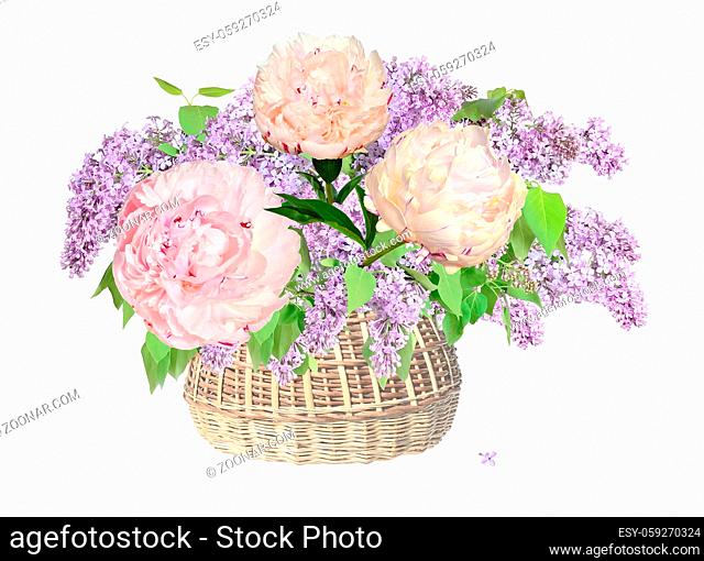 Romantic gentle bouquet of lilac flowers and light pink with creamy tone peonies in wicker basket, close up, isolated on a white background - festive floral...