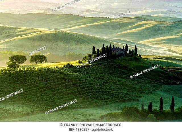 Typical green Tuscan landscape in Val d’Orcia, farm on hill, fields, cypress (Cupressus sp.) trees and morning fog at sunrise, San Quirico d’Orcia, Tuscany