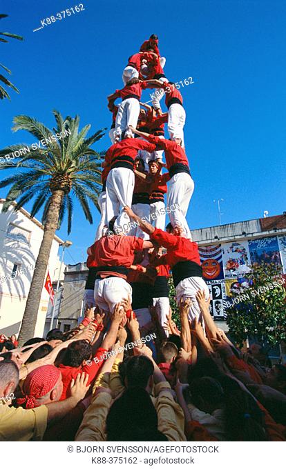 'Castellers' human towers builders, a Catalan tradition. Rubí. Barcelona province, Spain