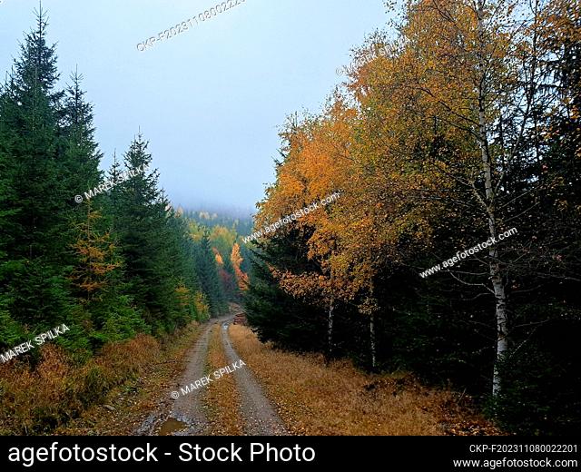 Autumn colours on the Polish side of the Giant Mountains. (CTK Photo/Marek Spilka)