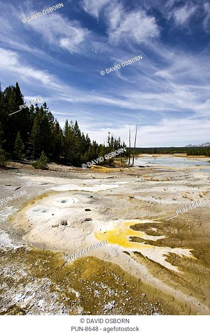 The strange patterns and colours of the thermophile mats at Norris Basin's Cracking Lake in Yellowstone National Park