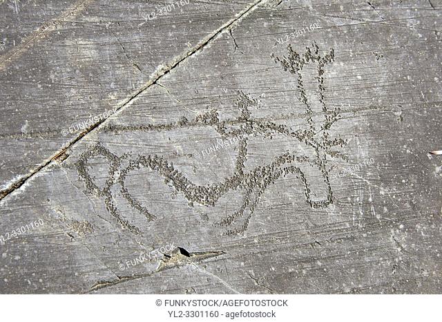 Petroglyph, rock carving, of two feet outlines. Carved by the ancient Camunni people in the iron age between 1000-1600 BC