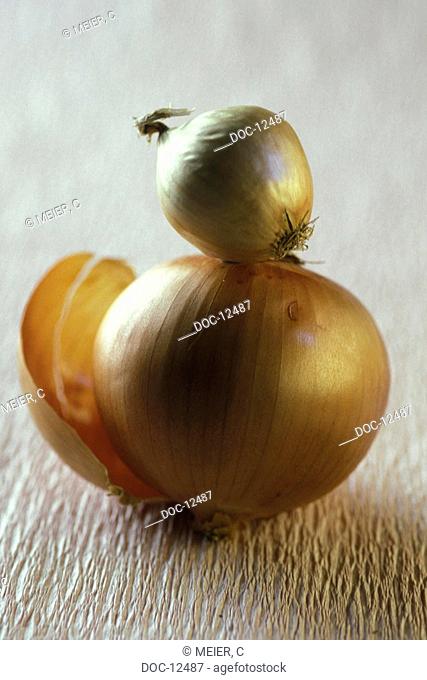 Two onions -onion - allium cepa - lukewarm chart - calorie-poorly - a lot c-vitamin - potassium - zinc - manganese - characteristic odor through sulfides -...