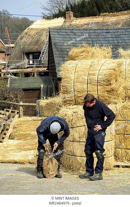 Two thatchers, one cutting a yelm of straw with a pair of shears