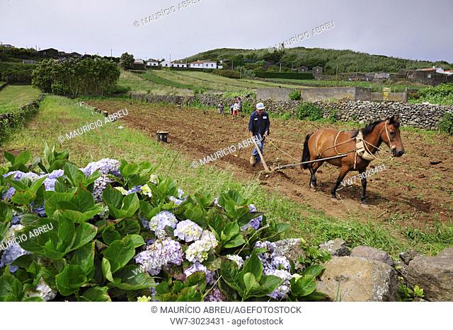 The rural landscape in Serra Branca. Graciosa island, Azores. Portugal