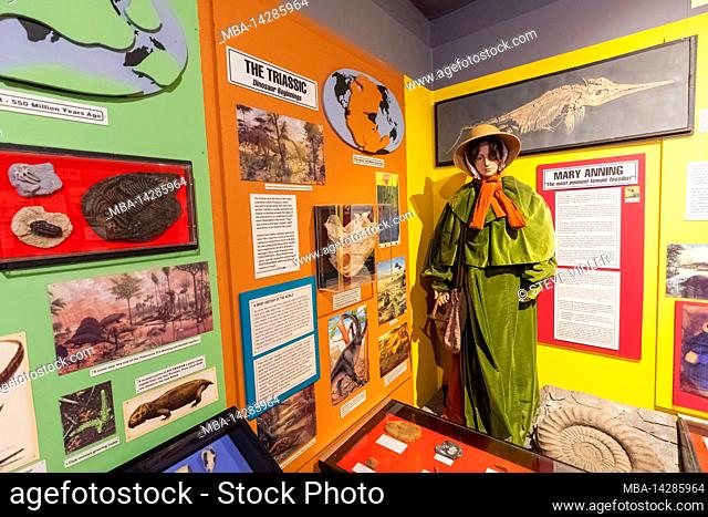 England, Dorset, Dorchester, The Dinosaur Museum, Statue of Mary Anning the Famous Female Fossilist