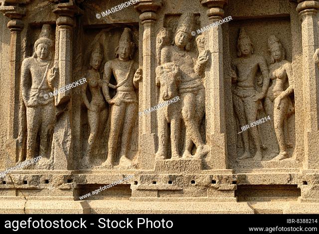 A close view of carvings on the external wall of the Arjuna Ratha, Five Rathas, monolithic rock cut architecture dating from the late 7th century in...
