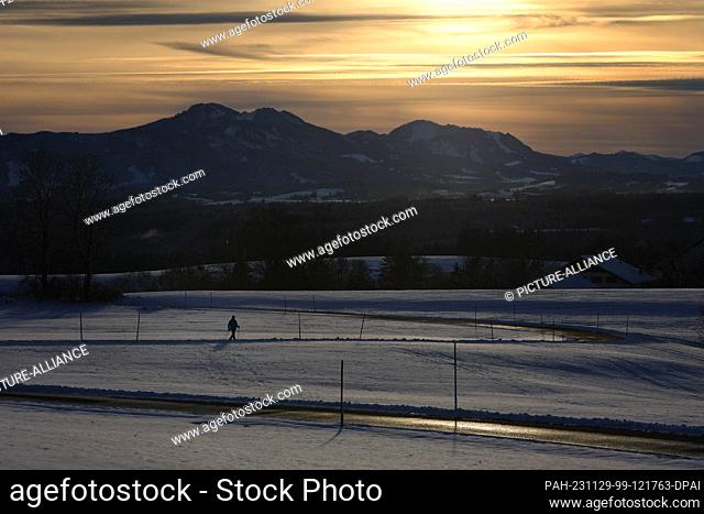 29 November 2023, Bavaria, Marktoberdorf: A woman is walking with walking poles in the sunshine in front of the panorama of the Alps in the snowy landscape
