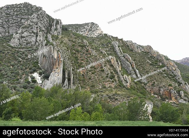 Fold with vertical strata in Montsec Mountain range. Camarasa, Lleida, Catalonia, Spain