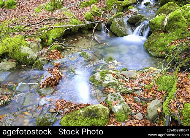 River in Sansanet forest, Aspe Valley, Pyrenees in France