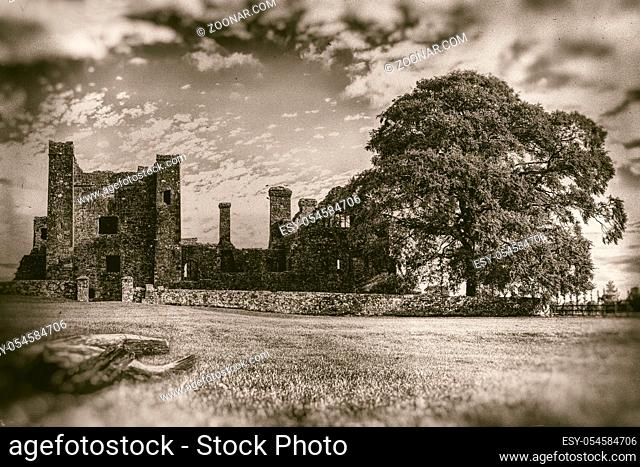 Ruins of old abbey with large tree and foreground logs in monochrome, vintage photography