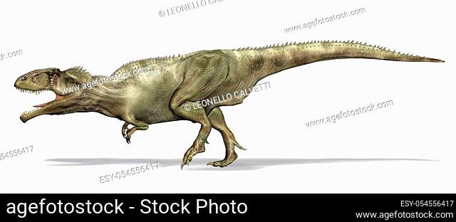 Giganotosaurus dinosaur. Side view, 3d photorealistic illustration, on white background. Clipping path included