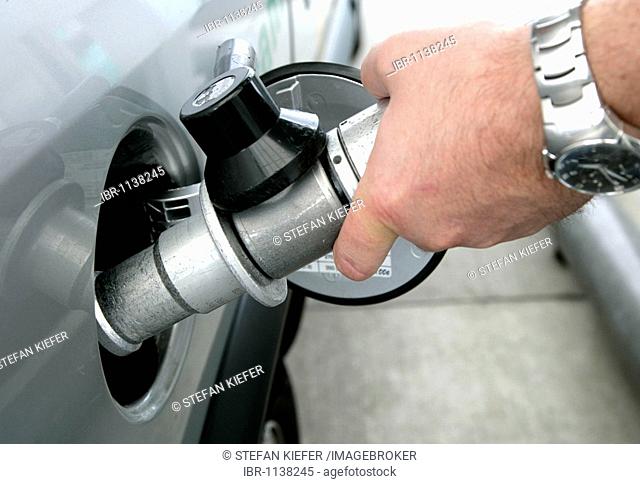 Natural gas filling station, hand holding a fuel nozzle, Forchheim, Bavaria, Germany, Europe
