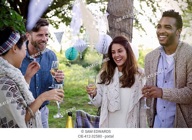 Smiling friends drinking champagne at garden party