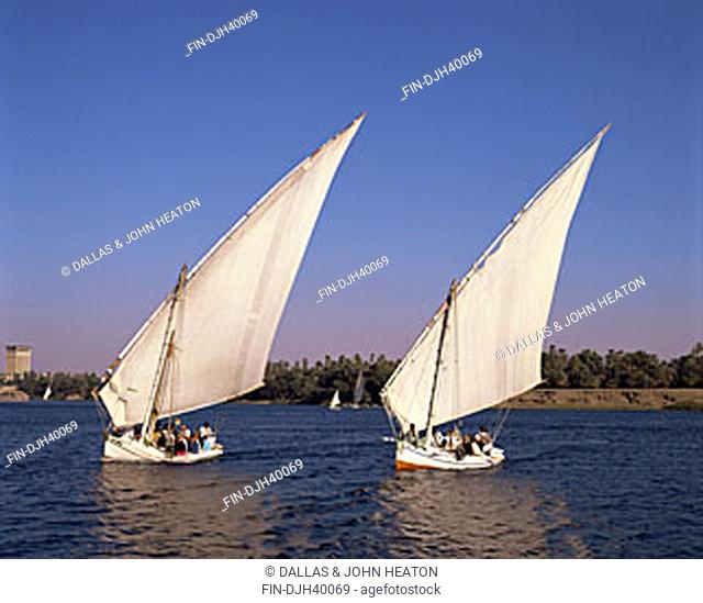 Egypt, Aswan, Nile River, Feluccas, Sailing