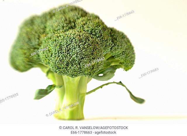 Bunch of broccoli on white background Shot with LensBaby for selective focus