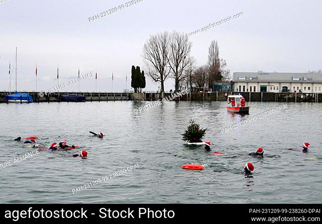 09 December 2023, Bavaria, Lindau (Bodensee): Swimmers swim in the harbor basin. On the Saturday after St. Nicholas Day, the now traditional St