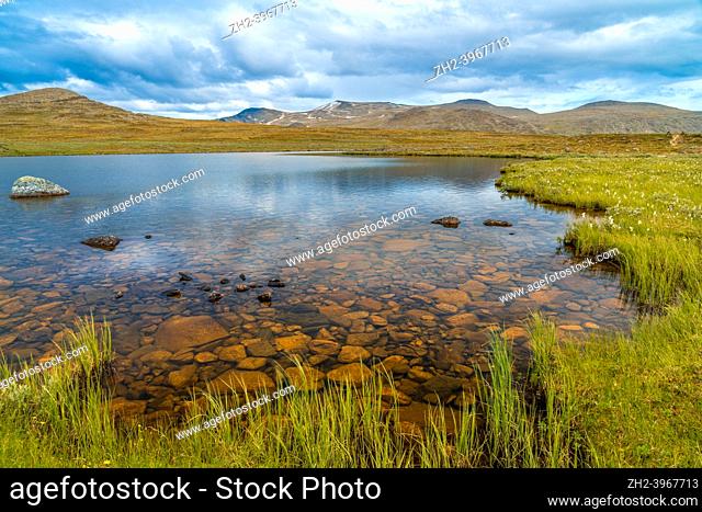 Small lake along kings trail with cotton grass at the side and mountains in bacground, Swedish Lapland, Sweden