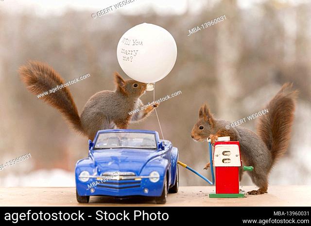 red squirrels with an car, balloon and a gas station