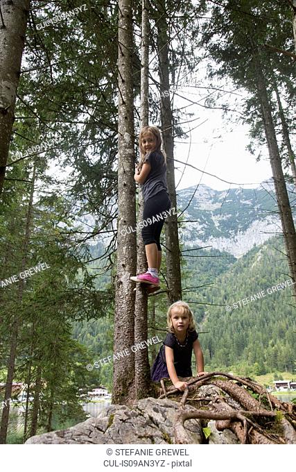 Sisters climbing trees in forest, Hintersee, Zauberwald, Bavaria, Germany