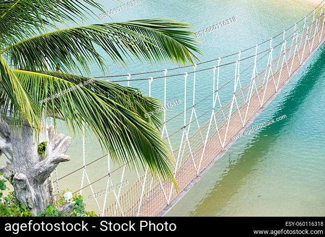 tropic rope bridge over clean sea waters with focus on palm leafs