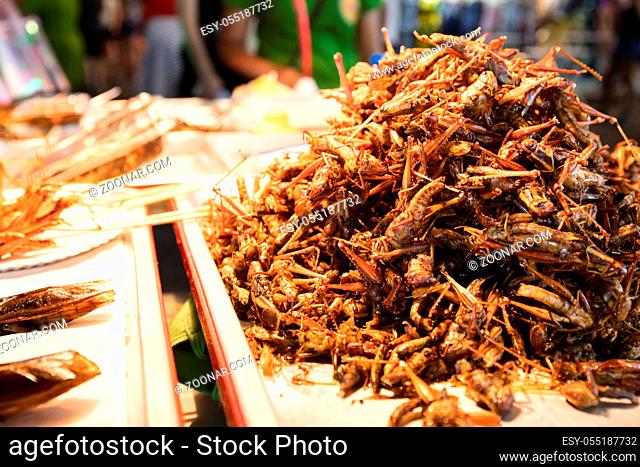 A selection of insects for sale to be eaten on Khao San Road in Bangkok, Thailand